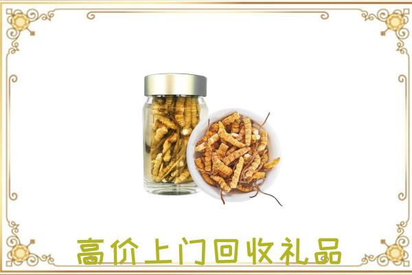 上蔡县周边回收虫草